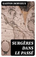 ebook: Surgères dans le passé