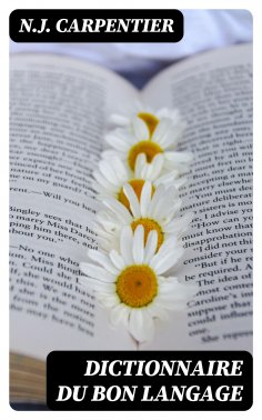 eBook: Dictionnaire du bon langage
