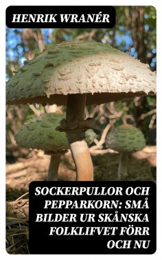 eBook: Sockerpullor och Pepparkorn: Små bilder ur skånska folklifvet förr och nu