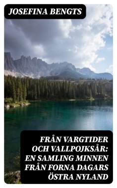 eBook: Från vargtider och vallpojksår: En samling minnen från forna dagars Östra Nyland
