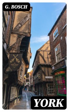 ebook: York