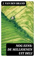 ebook: Nog eens: de millioenen uit Deli