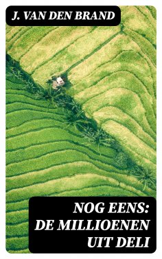 ebook: Nog eens: de millioenen uit Deli