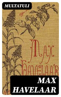 eBook: Max Havelaar