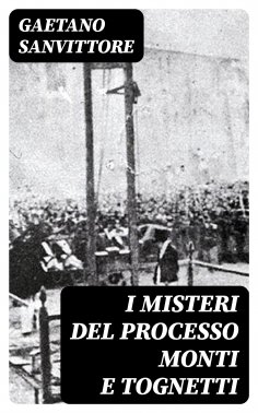 eBook: I misteri del processo Monti e Tognetti
