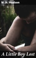eBook: A Little Boy Lost