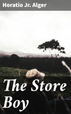 eBook: The Store Boy