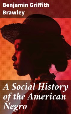 eBook: A Social History of the American Negro