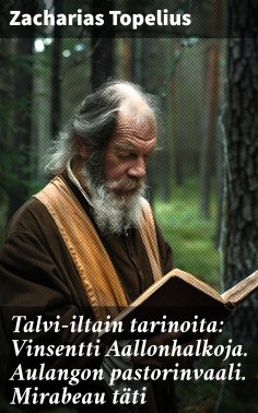 eBook: Talvi-iltain tarinoita: Vinsentti Aallonhalkoja. Aulangon pastorinvaali. Mirabeau täti