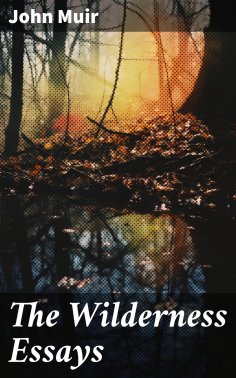 ebook: The Wilderness Essays