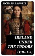 eBook: Ireland under the Tudors (Vol. 1-3)