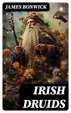 ebook: Irish Druids