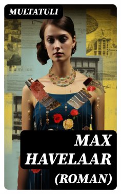 eBook: Max Havelaar (Roman)