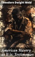 eBook: American Slavery as It is: Testimonies