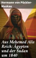 ebook: Aus Mehemed Alis Reich: Ägypten und der Sudan um 1840