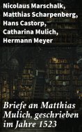 ebook: Briefe an Matthias Mulich, geschrieben im Jahre 1523