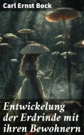 ebook: Entwickelung der Erdrinde mit ihren Bewohnern