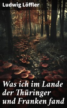 ebook: Was ich im Lande der Thüringer und Franken fand