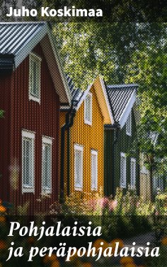 eBook: Pohjalaisia ja peräpohjalaisia