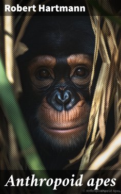 eBook: La opinión ajena