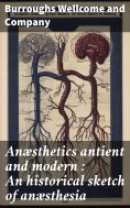 eBook: Anæsthetics antient and modern : An historical sketch of anæsthesia