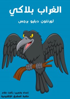 eBook: The lost cat
