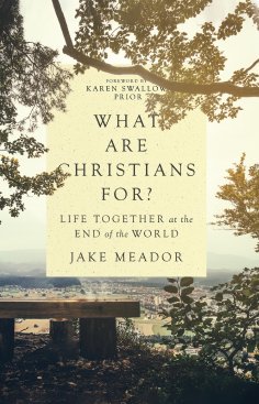 ebook: What Are Christians For?