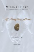 eBook: A Fragile Stone