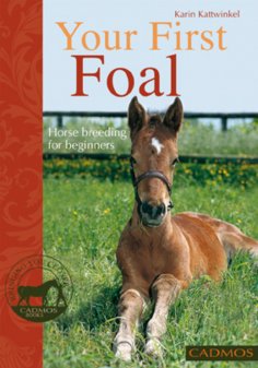 eBook: Your First Foal