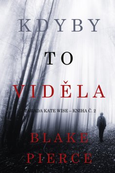 eBook: Kdyby to viděla (Záhada Kate Wise – kniha č. 2)