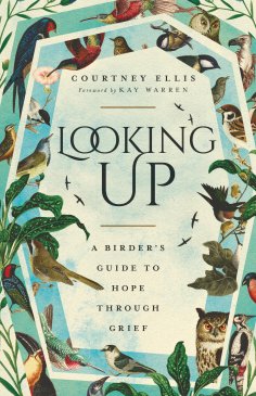 eBook: Looking Up