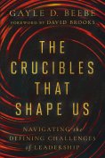 eBook: The Crucibles That Shape Us