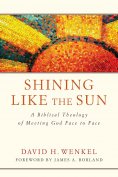 eBook: Shining Like the Sun