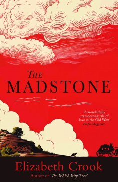 eBook: The Madstone