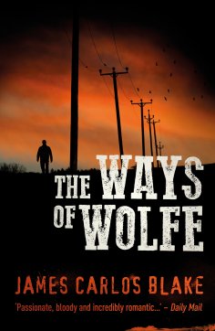 ebook: The Ways of Wolfe