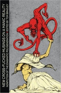 eBook: New Cross-Fucked Musings on a Manic Reality