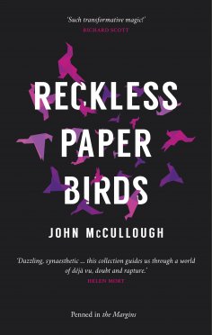 eBook: Reckless Paper Birds