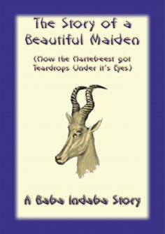 eBook: The Story of a Beautiful Maiden