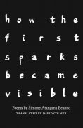 eBook: how the first sparks became visible