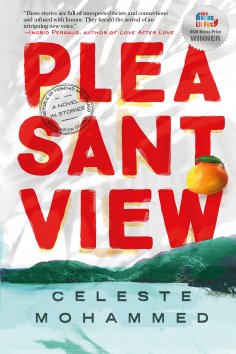 eBook: Pleasantview
