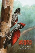 ebook: Fauna