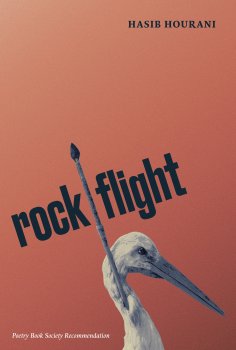 eBook: rock flight