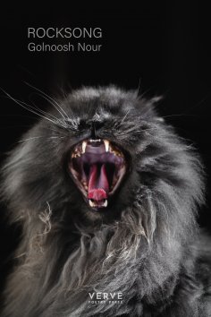 eBook: Rocksong