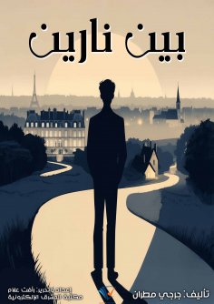 ebook: Between two fires