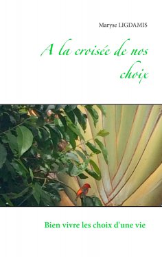 ebook: A la croisée de nos choix