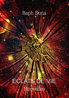 ebook: Eclats de vie