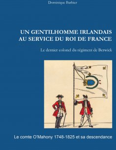 eBook: Un gentilhomme irlandais au service du roi de France