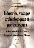 eBook: Industries, vestiges archéologiques et préhistoriques - Action aléatoire de la nature & Action inten