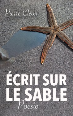 ebook: Écrit sur le sable