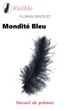 eBook: Mondité bleu